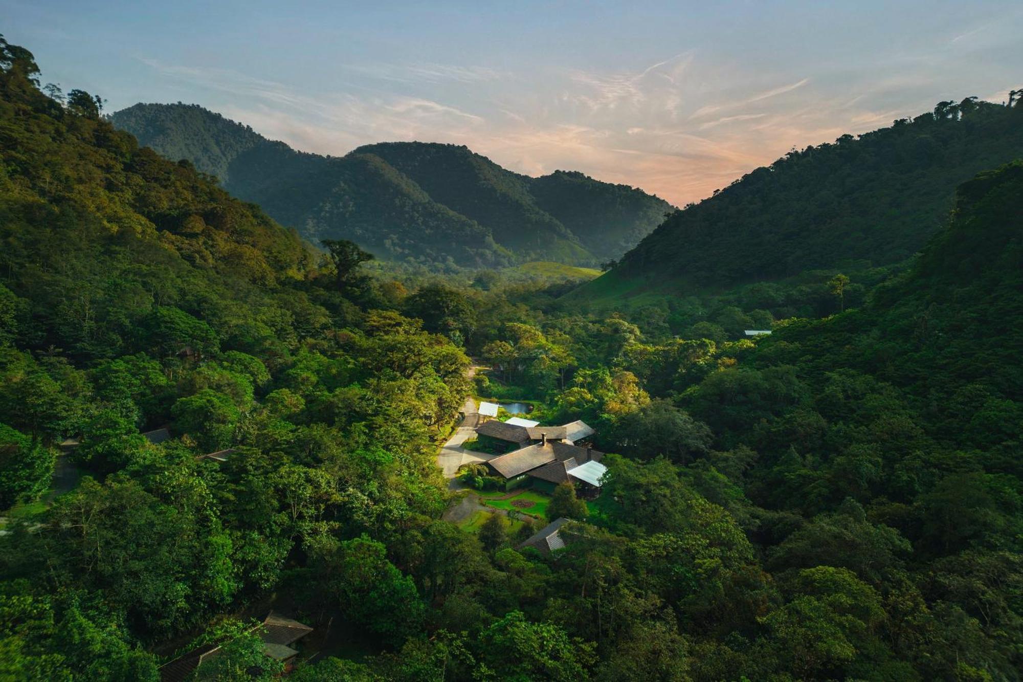 El Silencio Lodge & Spa Costa Rica Toro Amarillo Eksteriør billede